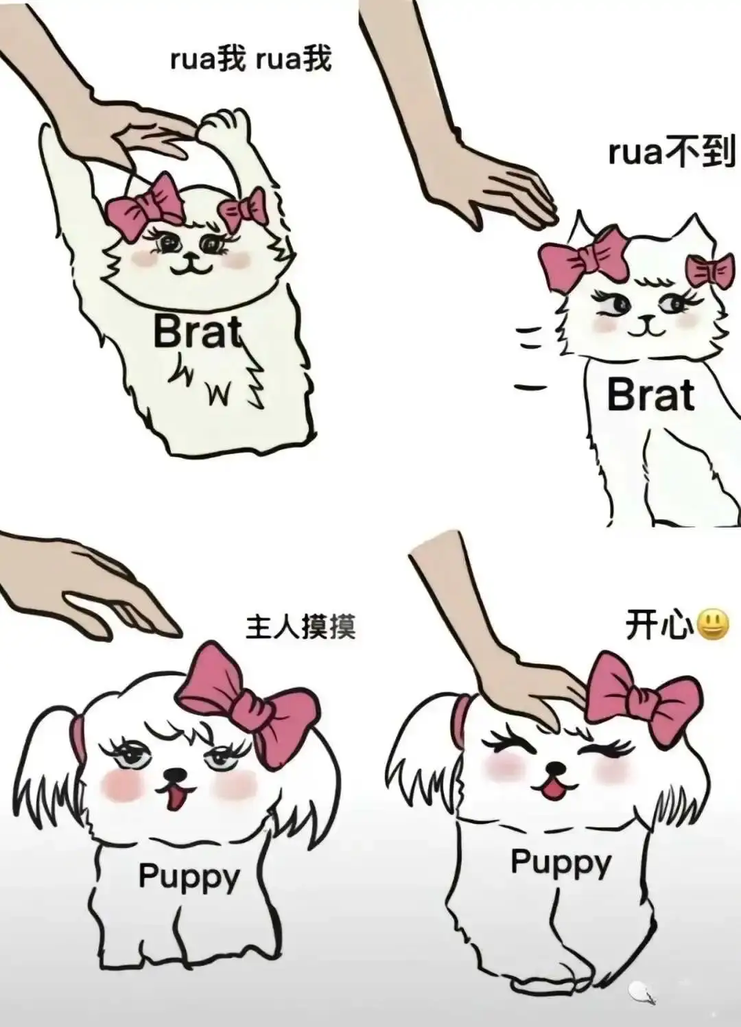 西檬之家-新人如何在字母圈安全入圈？一份BDSM基础指南