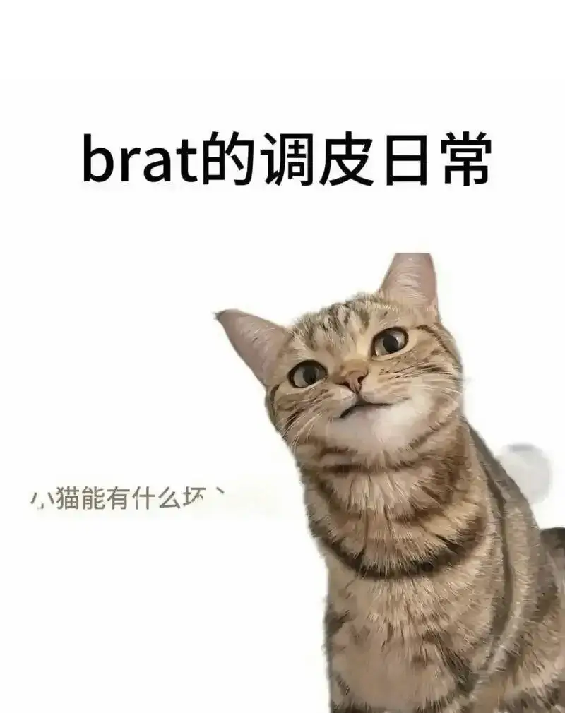 小圈：实用指南