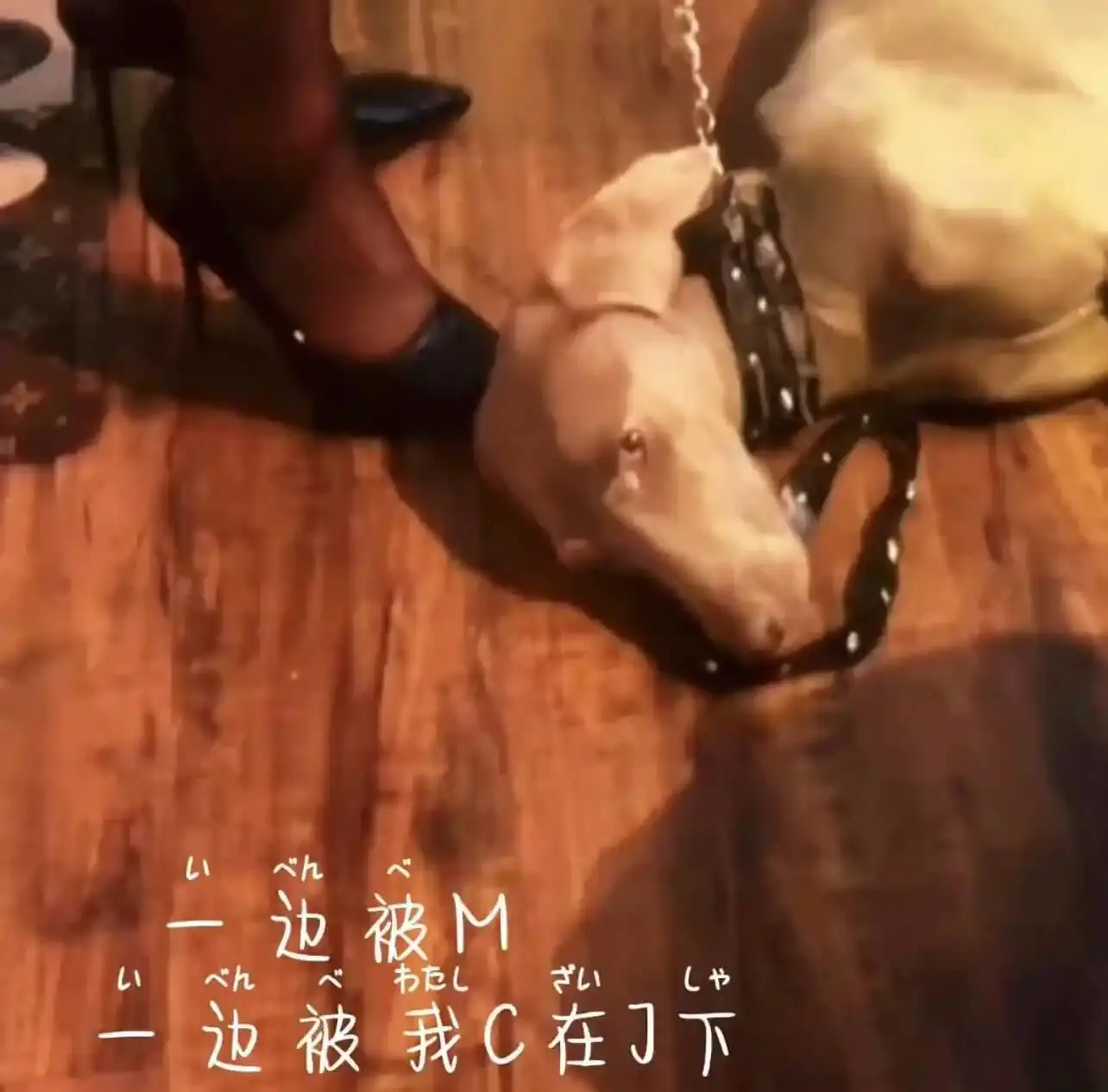 西檬之家 - PE是什么？字母圈权力交换的底层逻辑与安全实践指南