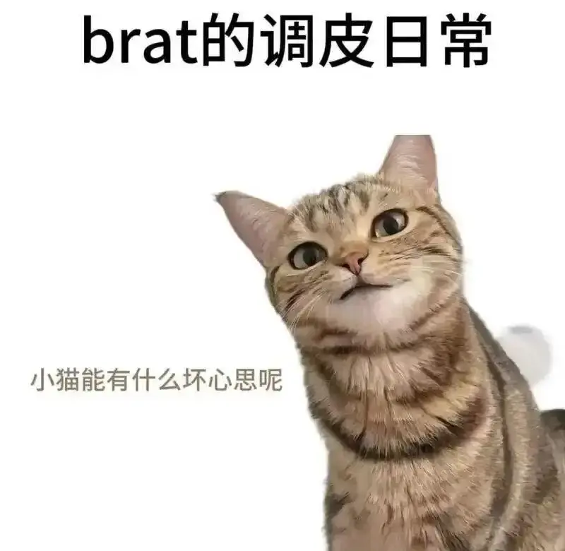 字母圈术语全解析：新人入圈必备指南