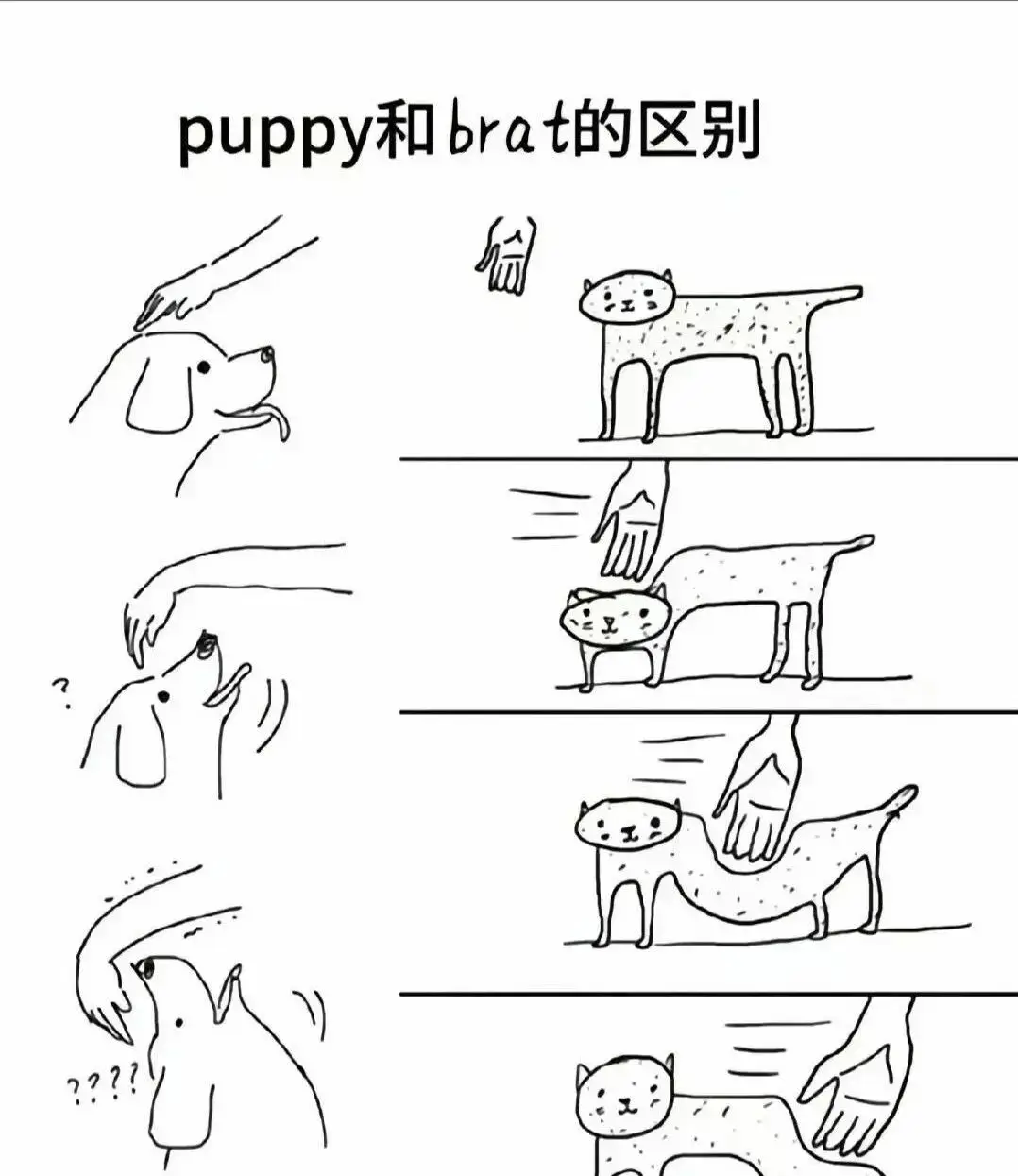 西檬之家-字母圈新人入圈指南