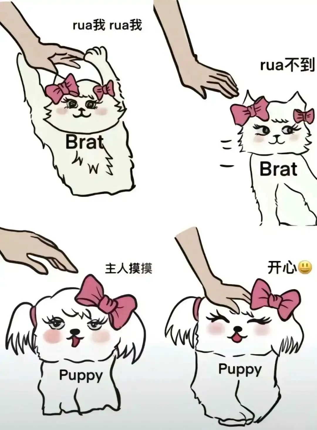 西檬之家-BD是什么？字母圈新手入圈必备知识